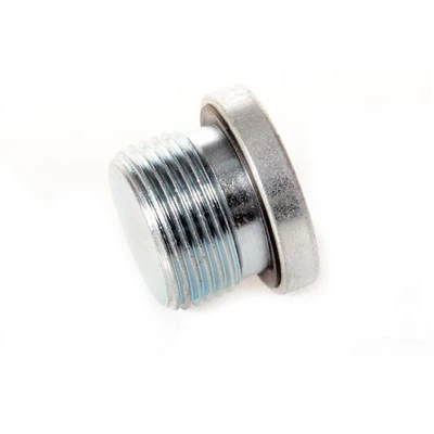 Holle zeskantplug